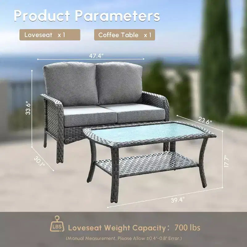 HOMLUX Ensemble de conversation d'extérieur 2 pièces en osier résistant aux intempéries pour patio, terrasse, balcon, jardin