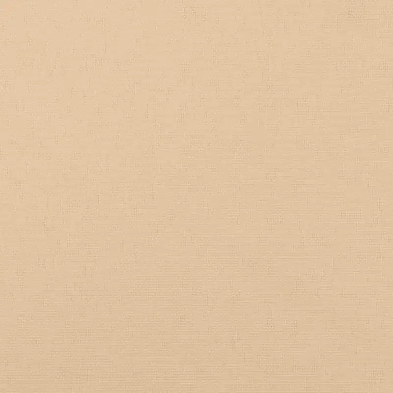 vidaXL Salon de jardin beige, bois naturel